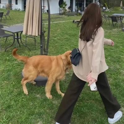 电视拍手者